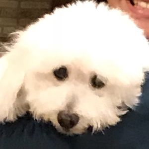 Meet your Posher, Lanie